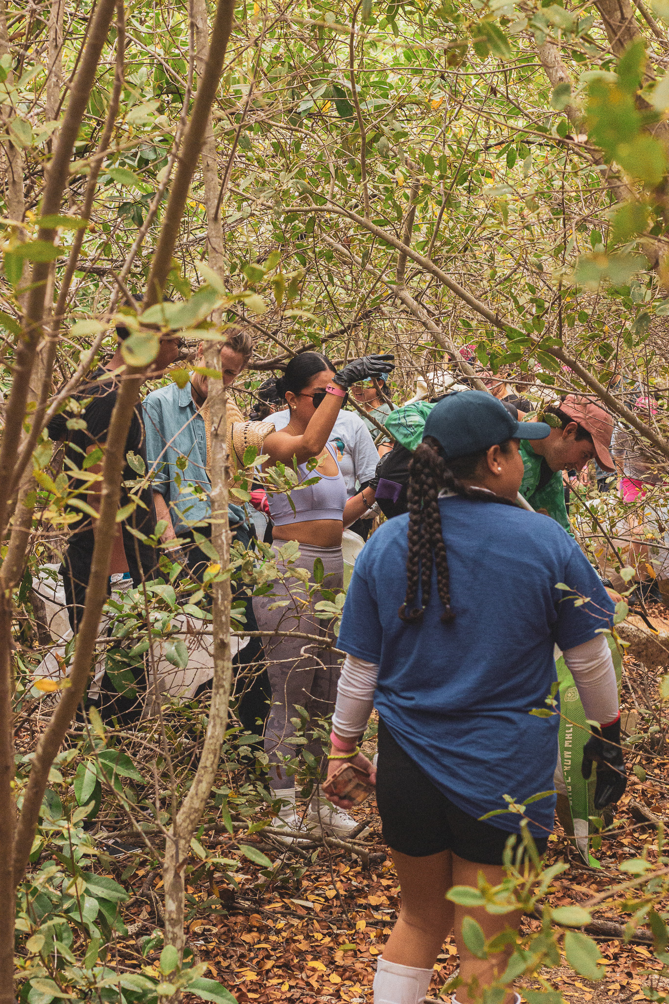 Limpieza Isla Basura en Mazatlán Sinaloa Grupo de Voluntarios